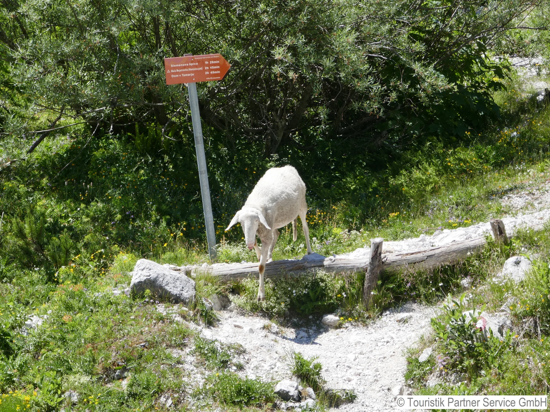 @ Touristik Partner Service 