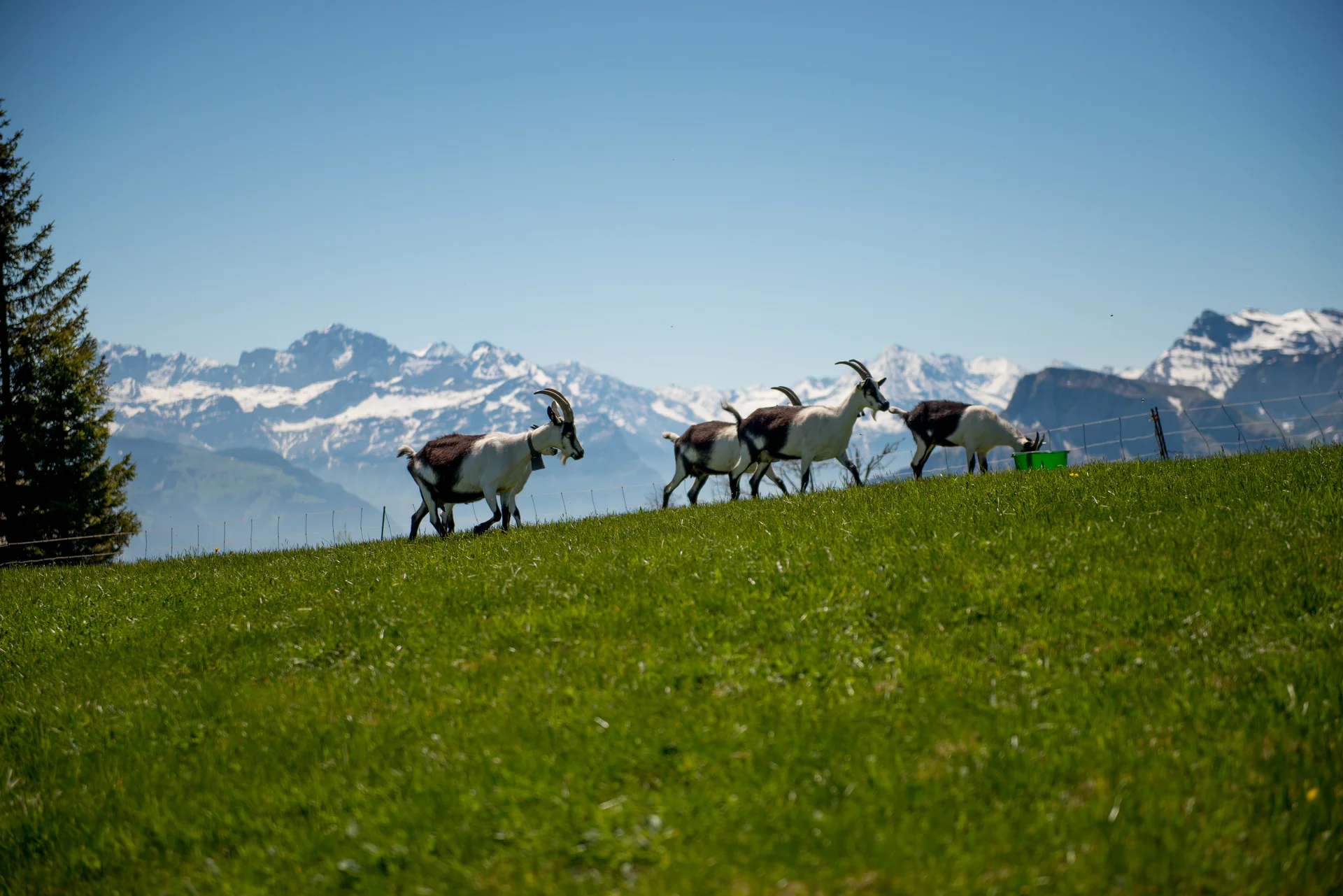 @ Touristik Partner Service 