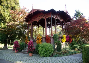 Chrysanthemen-Zauber in Lahr