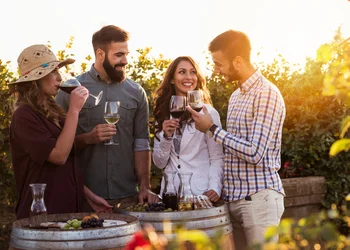 WeinErlebnis in Franken